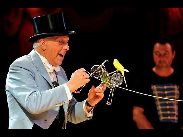 Norman Barrett MBE and his amazing budgies: Zippos Circus