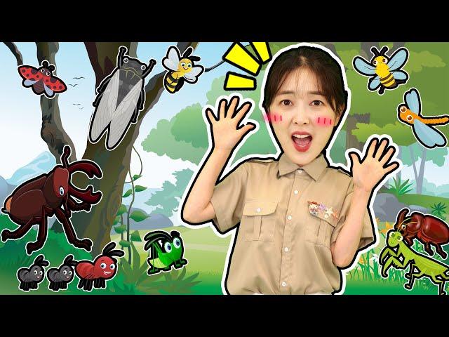 다니와 자연친구! 곤충퀴즈 | 장수풍뎅이 매미 꿀벌 잠자리 무당벌레 개미 메뚜기 | DANI 다니유치원