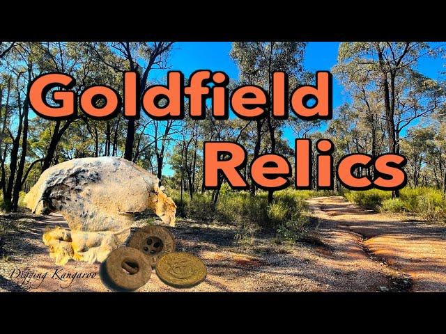 Metal detecting Australia Goldfields