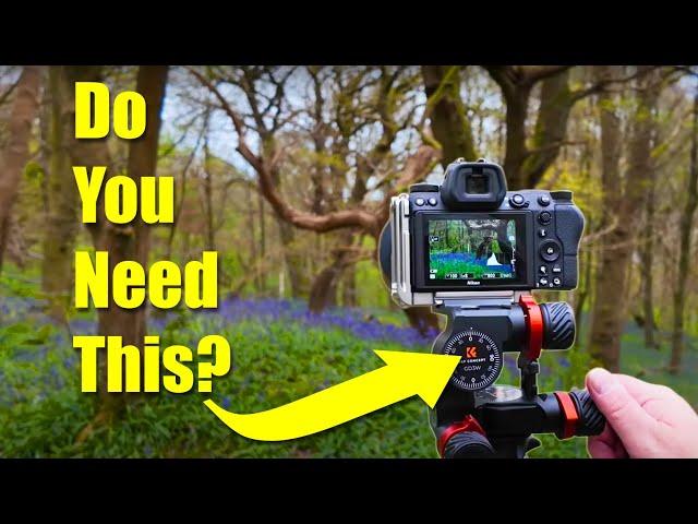 Shooting Bluebells With The Kentfaith K&F Concept - GD3W - Geared Head ~ Landscape Photography