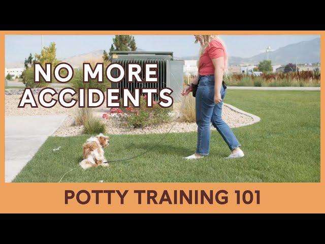 Potty Training [Video 13/14]