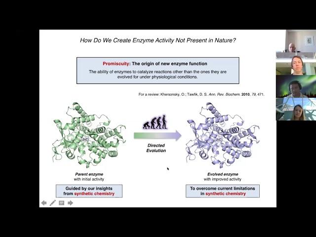 Directed Evolution of Cytochrome P450 Enzymes for the Asymmetric Amination of C(sp3)-H Bonds