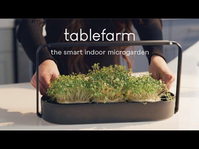 tablefarm — the smart indoor microgarden | Design & Tech in 2020