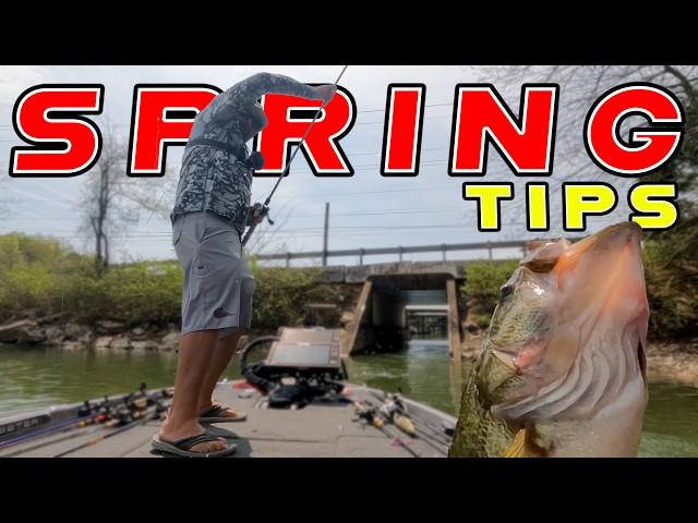 How To Catch BIG BASS In Spring! (Its Not Random)