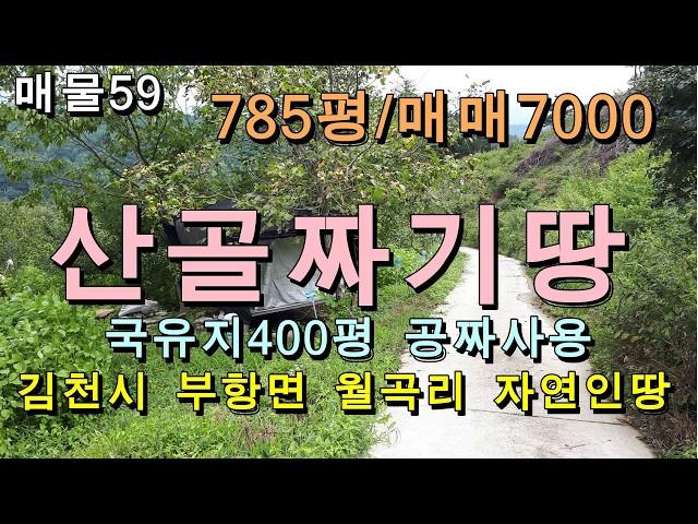 (거래완료)김천토지 김천땅/김천시 부항면 월곡리 산골짜기 자연인 토지/평수785평/매매7000만원