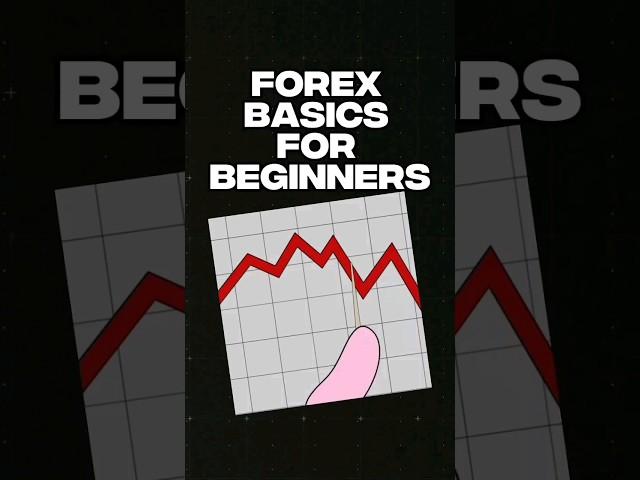 FOREX BASICS FOR BEGINNERS 