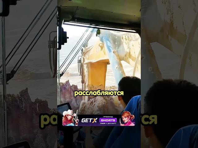 Китайские медитативные видео убаюкивают миллионы! Рубить Правду #медитация #сон