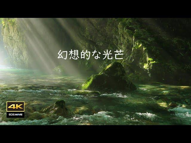 4K  幻想的な川霧と光芒　円原川　/  4K Fantastic river fog and rays of light