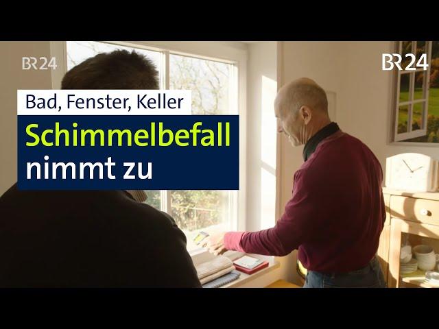 Schimmel in Häusern – ein immer größeres Problem | Abendschau | BR24