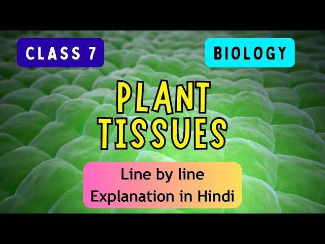 Plant Tissues | ICSE CLASS 7 BIOLOGY | Full Chapter I UNIQUE E LEARNING