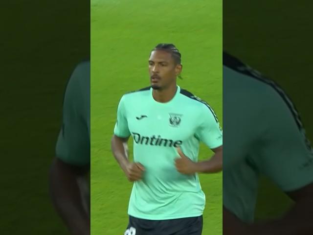 Welcome HALLER 