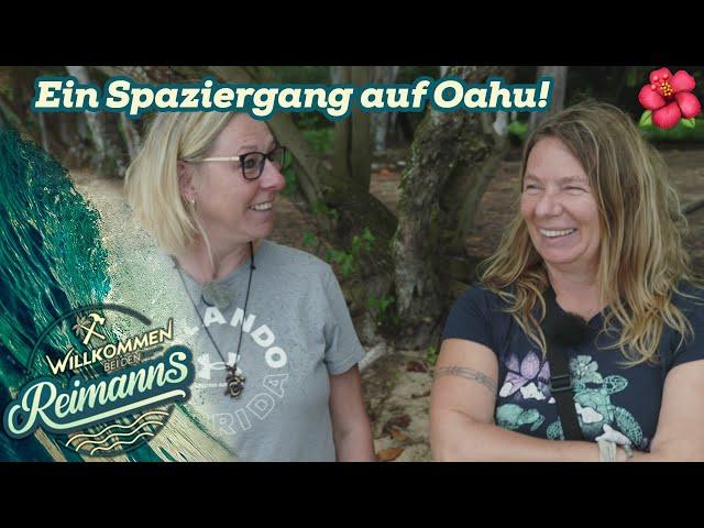 Ein Spaziergang auf OAHU  Filmkulissen und Obstkommando | Willkommen bei den Reimanns