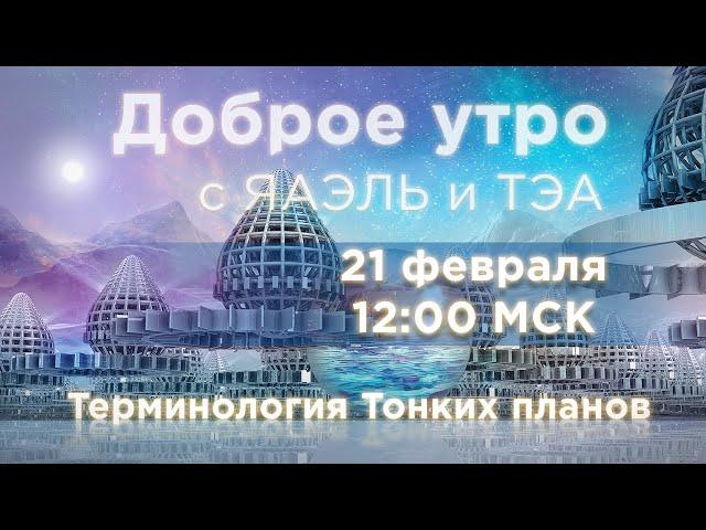 Терминология Тонких планов | “Доброе утро!” с ЯАЭЛЬ и ТЭА