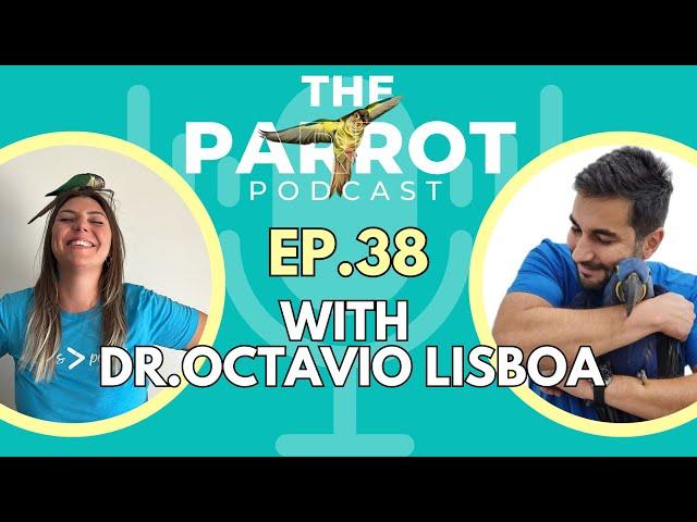 Parrot SOS: Diet, First Aid, Plucking, and the Secrets to a Healthier Bird | The Parrot Podcast #38