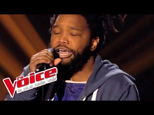 Britney Spears – Toxic | Spleen | The Voice France 2014 | Blind Audition