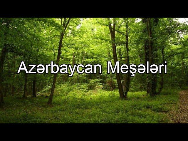 Azərbaycan Meşələri Bütün rayonlar Azerbaijan forest Dağ Meşələri Düzən Tuqay Meşələri