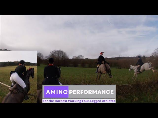 Cotswold Trail Hunt Xmas Tradition - Tonic Flew Cotswold Hedges | Equestrian