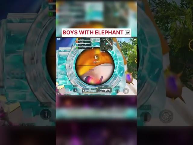 Elephant with Girls vs Boys  #bgmi #pubgmobile #pubg #shorts #memes #outlawgaming #pubgmemes