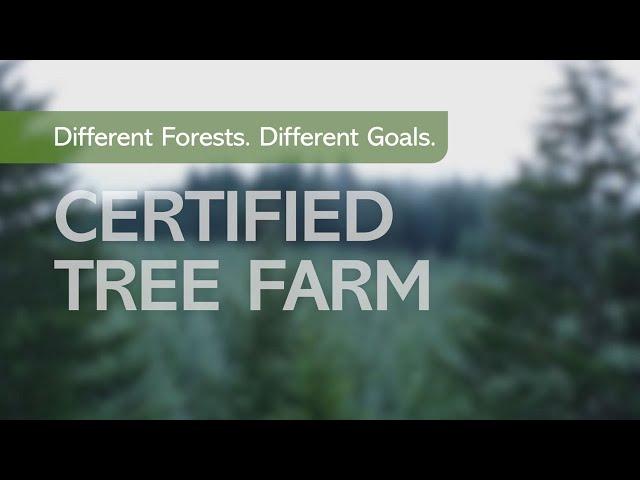 Different Forests. Different Goals. Certified Tree Farm