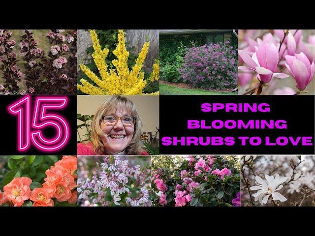 Garden Design Ideas-Spring Blooming Shrubs