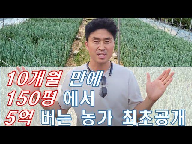 초고소득 창출! 150평에서 5억을 버는 농가 최초 공개합니다 #귀농 #귀촌 #정원