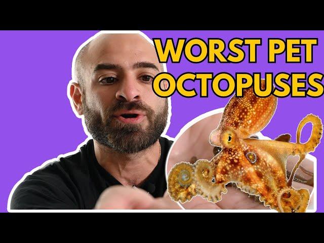 5 Worst Octopuses To Keep As Pets