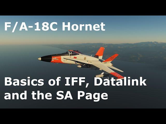 DCS World Tutorials - F/A-18C Hornet - Basics of IFF, the Link16 Datalink, and the SA Page