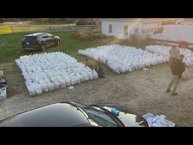 Massive drug bust finds $8.5 million worth of illegal mushrooms in Burlington home