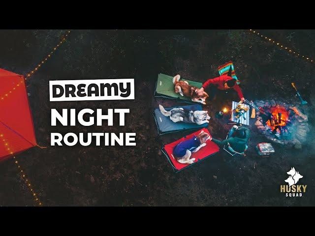 Camping With Dogs - NIGHT ROUTINE | Husky Squad