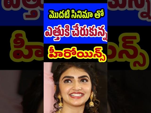 Actos Who Become Star Heroines with Debut Movie | Tollywood Stuff