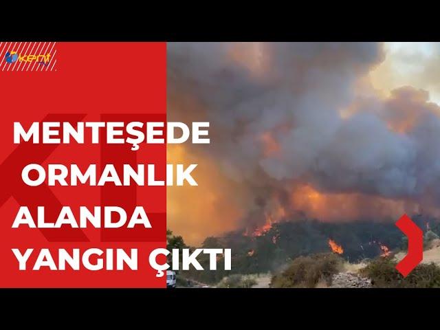 MENTEŞE'DE ORMANLIK ALANDA YANGIN ÇIKTI