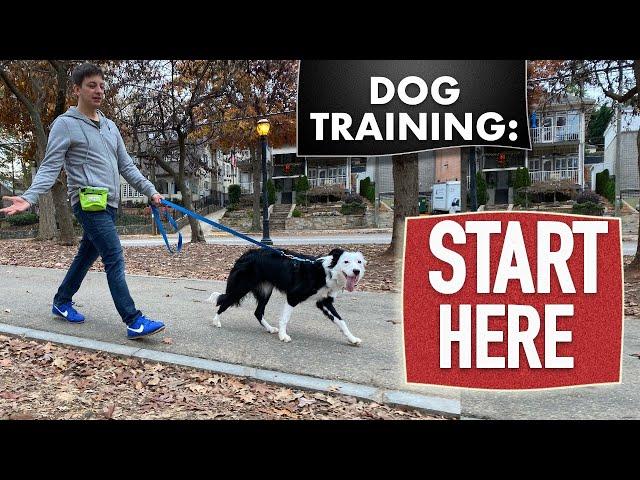 Dog Training Fundamentals (Watch this before any other dog training video)