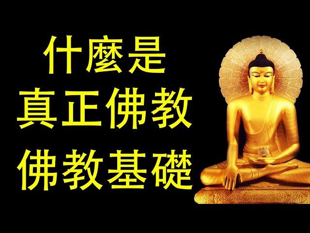 什麼是真正的佛教？佛教基礎 #佛 #佛教 #佛學 #佛陀 #佛法 #佛經 #智慧 #人生感悟 #修心 #修心修行 #禪悟人生 #禪語錄 #禪修