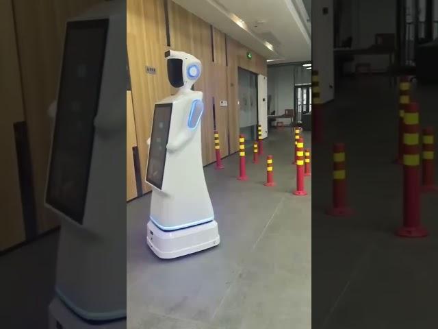 Reception robots based on our mobile chassis