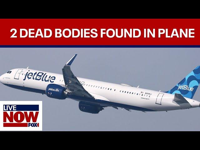 BREAKING: 2 bodies found in landing gear of JetBlue plane | LiveNOW from FOX