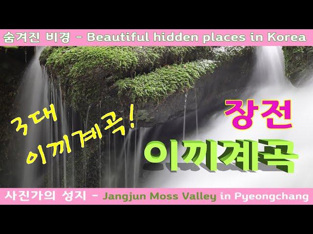 장전 이끼계곡 - 3대 이끼계곡 /숨은 비경/ 사진가 성지 Beautiful hidden places in Korea - Jangjun Moss Valley / Pyungchang