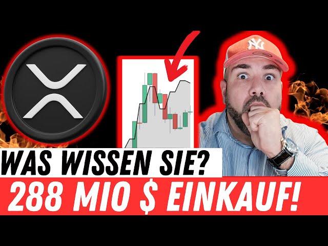 XRP: $288 MILLION WAL EINKÄUFE! WAS WISSEN SIE? 3$ HEUTE ABEND? RIPPLE CEO BEI 60 MINUTES