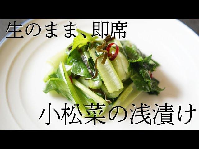 生のままで簡単！小松菜の浅漬けの作り方【さっぱりが美味しい。即席ですぐに食べられる】