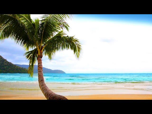 Calming Beach Sounds | Nature White Noise for Meditation, Relaxation & Sleep | 10 Hours