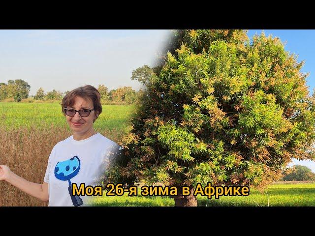 #94 Какая она, наша Африканская Зима?