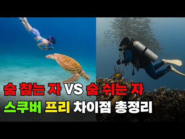 프리다이빙 vs 스쿠버다이빙 차이점 여행 가기 더 좋은 자격증은?