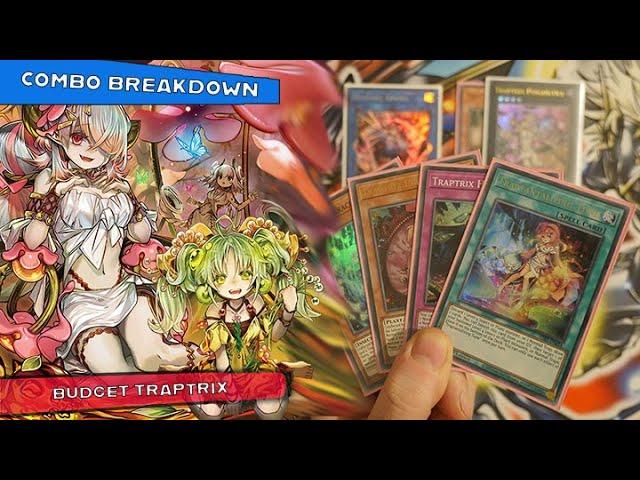 YUGIOH Traptrix Learning to Play In Depth Test Hand combos