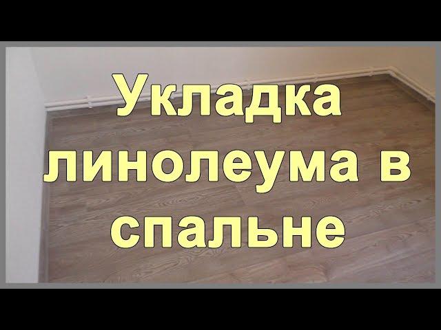 Укладка линолеума в спальне своими руками. Линолеум Tarkett Favorit Картер 1