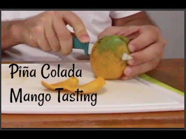 Our Favorite Mango? Tasting Pina Colada Mango