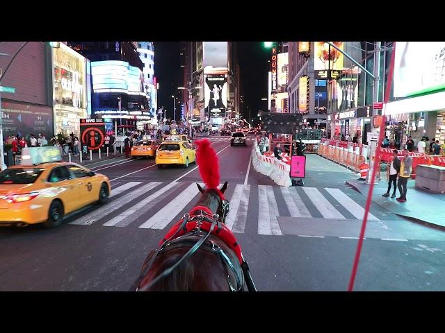 Horse Carriage Ride in Times Square by NYC Adventures