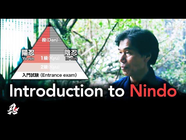 Introduction to Nindo