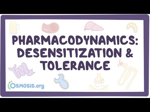 Pharmacodynamics: Desensitization and tolerance