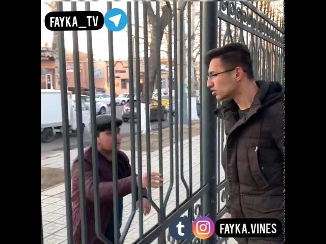 Fayka vines