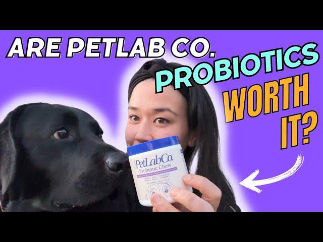 Do PetLab Co.'s Probiotic Chews Actually Work? - Honest Review