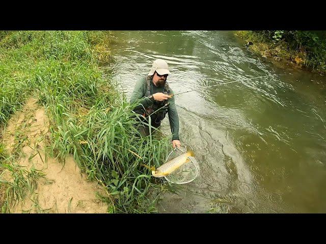 Wisconsin Trout Fishing - 6/27/2024